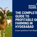 Goat Farming in Hyderabad