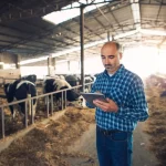 Future of Livestock Farming Trends Every Farmer Should Know