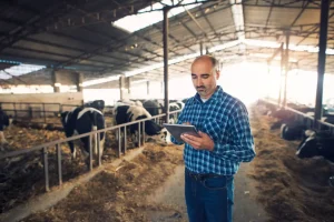 Future of Livestock Farming Trends Every Farmer Should Know