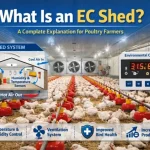 what-is-ec-shed-poultry-farming