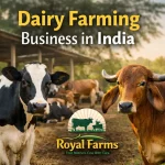 Dairy Farming Business in India