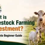 Livestock farming investment