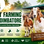 Goat Farming in Coimbatore
