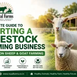 Livestock Farming