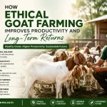 Ethical Goat Farming Guide