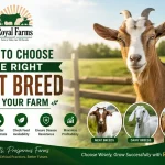 How to Choose the Right Goat Breed for Your Farm