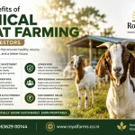 Ethical Goat Farming Benefits