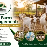 Goat Farm Management