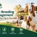 Goat Breeding Management