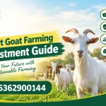 Smart Goat Farming Investment Guide