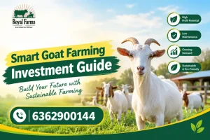 Smart Goat Farming Investment Guide