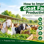 Goat Farm Productivity