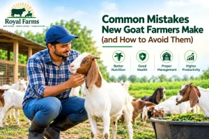 Goat Farming Mistakes Guide