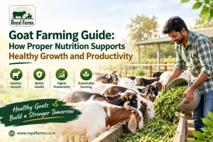 Royal Farms Goat Nutrition Guide